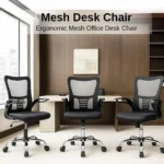 Ergonomic Office Chair – Adjustable Mesh Chair with Lumbar Support & Flip-Up Armrests (Black) IB-MCB27