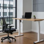Electric Standing Desk