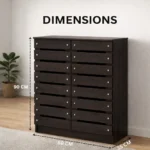 Modern 2 Door Shoe Cabinet